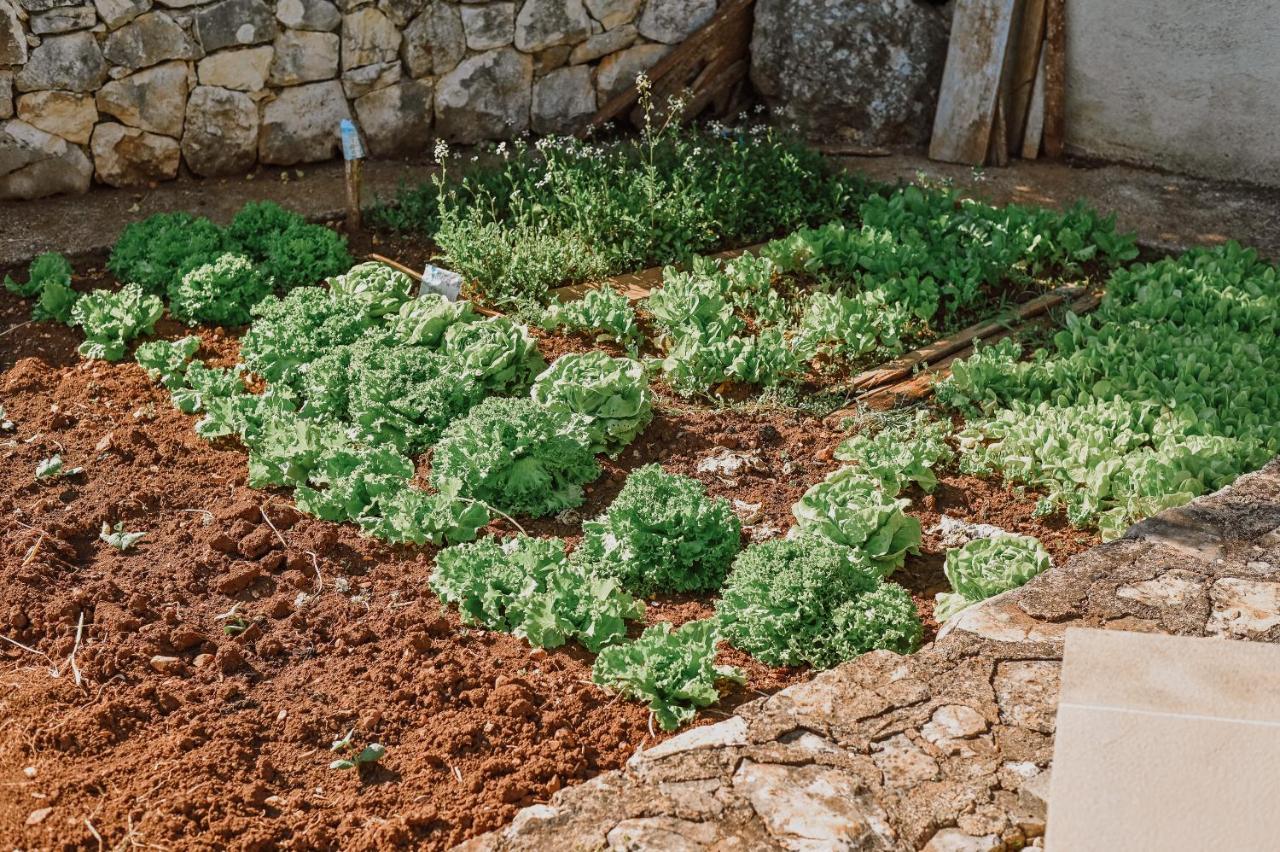 Vila Stala Malinska Dış mekan fotoğraf